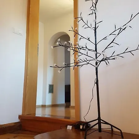 Apartma Katja 홈스테이 *